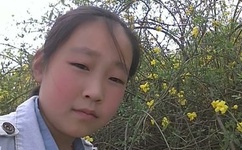 中国好声音 high歌